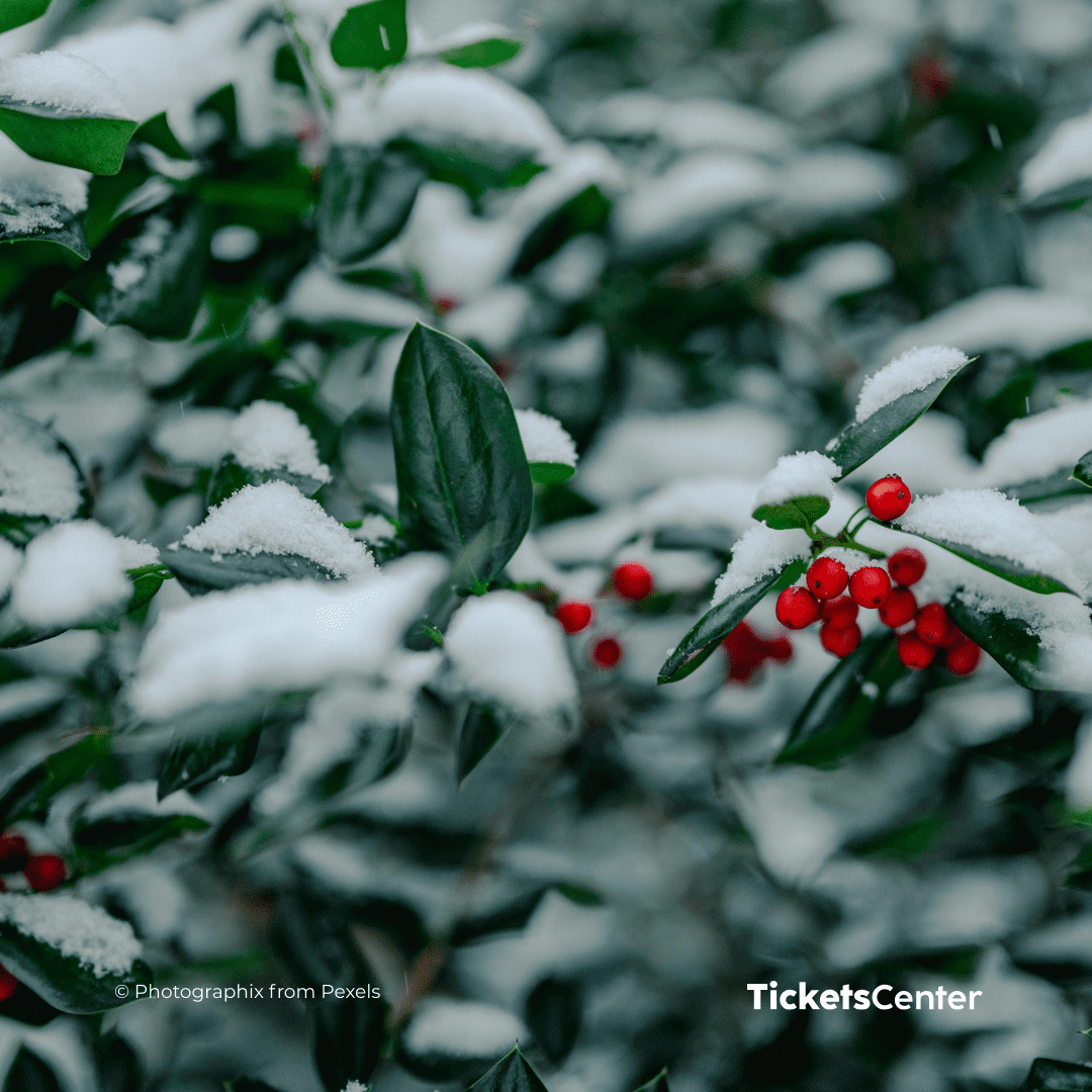 12 Must-See Holiday Entertainment Ideas for 2025